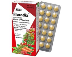 Salus Floradix IJzer-tabletten – Bij vermoeidheid – Voedingssupplement met ijzer – 84 tabletten