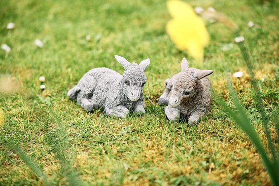 Twee stenen ezels, grijs en bruin, liggen in het gras met gele bloemen.