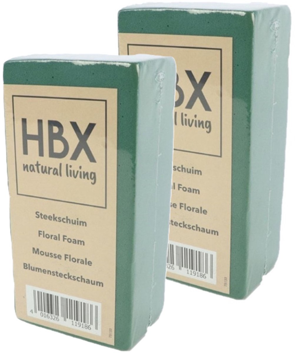 HBX Natural Living Oase steekschuim - 2x - groen - 20 x 10 x 7,5 cm - foam blokken - rechthoek - Bloemstuk maken - Kerststukje maken
