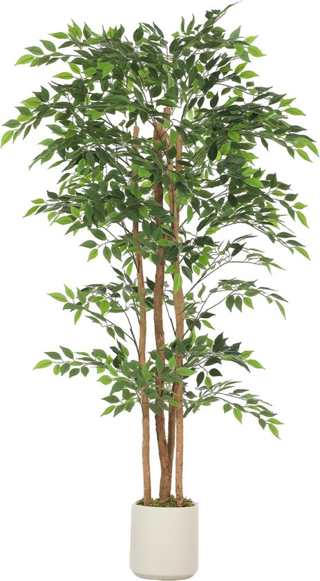 Plantes artificielles Homcom-Plastique-75L x 75l x 180H cm-Vert