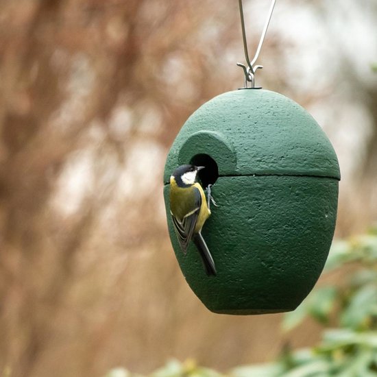 CJ Wildlife Nestkast - Aanbevolen door de Vogelbescherming Nederland - Malaga - 32mm - Nestkastje voor o.a. Koolmees, Boomklevers & Mussen - Woodstone Vogelhuisje - FSC-gecertificeerd - Groen