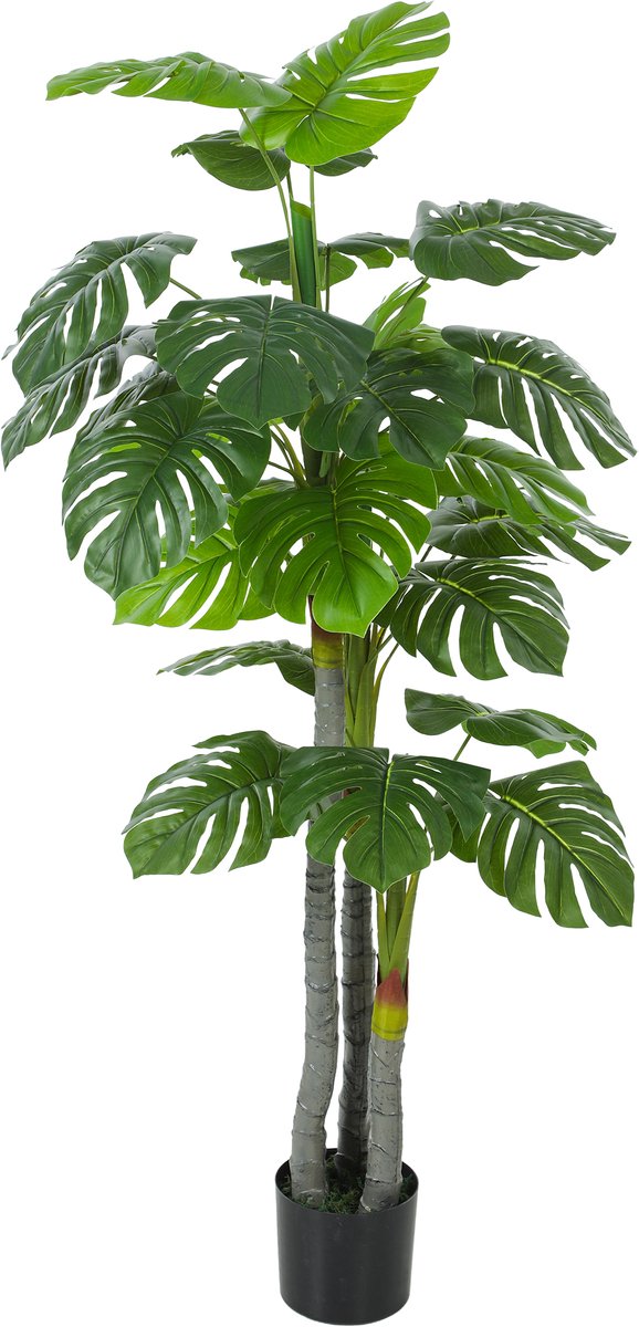 HOMCOM - Kunstplanten - PE - 17x17x150cm - Groen