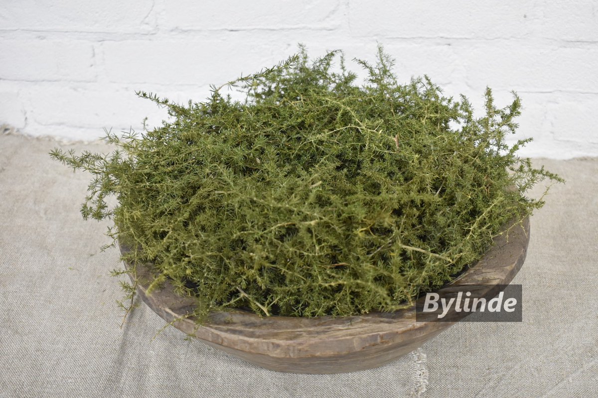 Asparagus Krans Natural groen Ø 28 cm - Natuurlijke groene krans asparagus handgemaakt 28 cm - Couronne