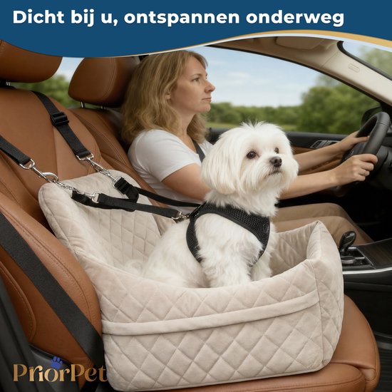 Een witte malteser hond zit in een beige autostoel voor honden, vastgegespt. Een vrouw rijdt op de achtergrond.