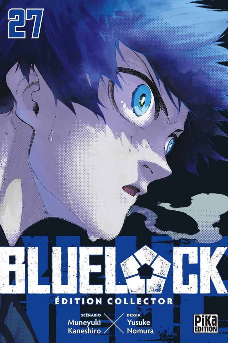 Collector Puzzle van 500 Stukken - Blauwe Lock T27
