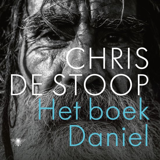 Het boek Daniel - cover