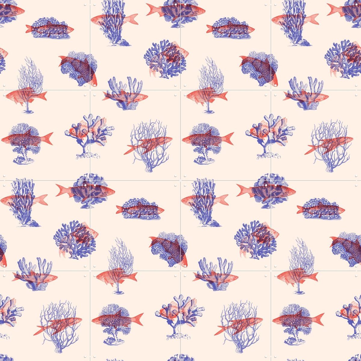 IXXI Where they belong Fish & Corals, Florent Bodart - 80 x 80 cm - Gratis ophangtool - Grote wanddecoratie en posters - Grafisch Ontwerp