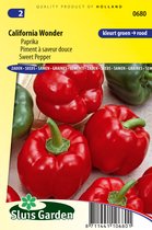 Sluis Garden Paprika California Wonder Red