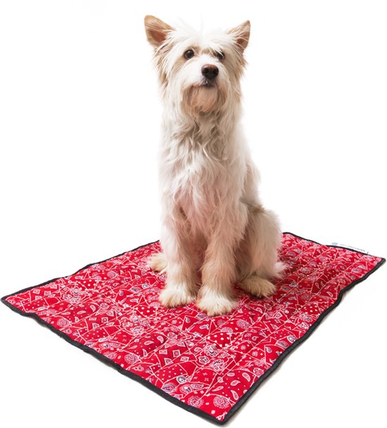 Aqua Coolkeeper Verkoelende Hondenmat 90 x 80 cm - Rood