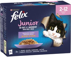 FELIX Zo lekker als het eruit ziet Junior natvoer voor katten (1 x 12 x 85g)