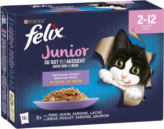 Felix Junior natvoer 12x85g verpakking met kat die door de doos breekt. Voor kittens van 2-12 maanden, met Rund, Kip, Sardine, Lachs.