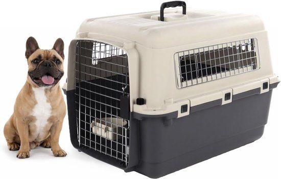 Franse buldog naast een donkergrijze en beige Fomad transportbox met metalen deur.