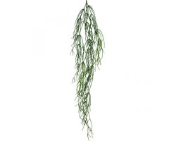 Sierranken, koraalcactus, Rhipsalis kunsthanger Groen L120cm