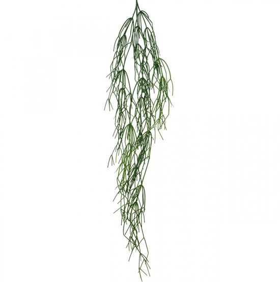 Sierranken, koraalcactus, Rhipsalis kunsthanger Groen L120cm