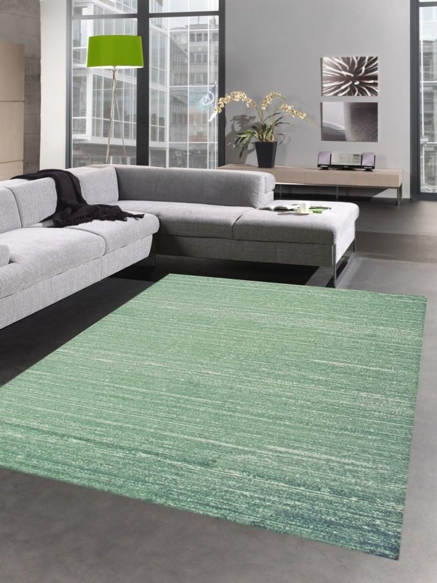 Vloerkleed Laagpolig - Woonkamer Tapijt - Modern Interieur - Geschikt Vloerverwarming - 80