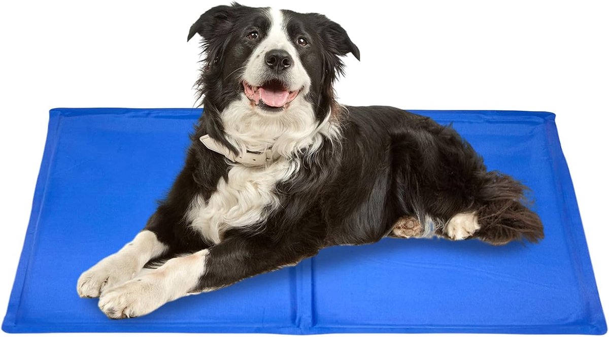 Koelmat Hond - Zelfkoelend Dekje - Zomerse Ontspanning - Opvouwbaar Gelontwerp - 783 gram - Veelkleurig