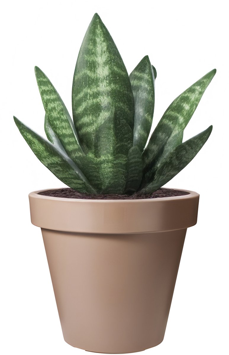 Pro Garden Bloempot - mokka bruin - rond - D25 cm - kunststof - plantenpot - tuin buiten