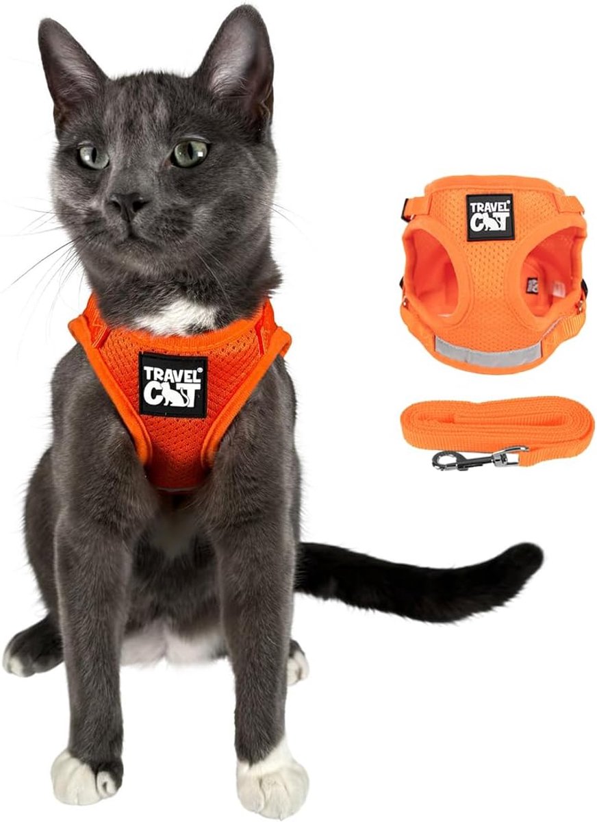 Reiskattenharnas Riemset - Verstelbaar Vest - Buiten Wandelen - Reflecterende Veiligheid - Maat S - Oranje