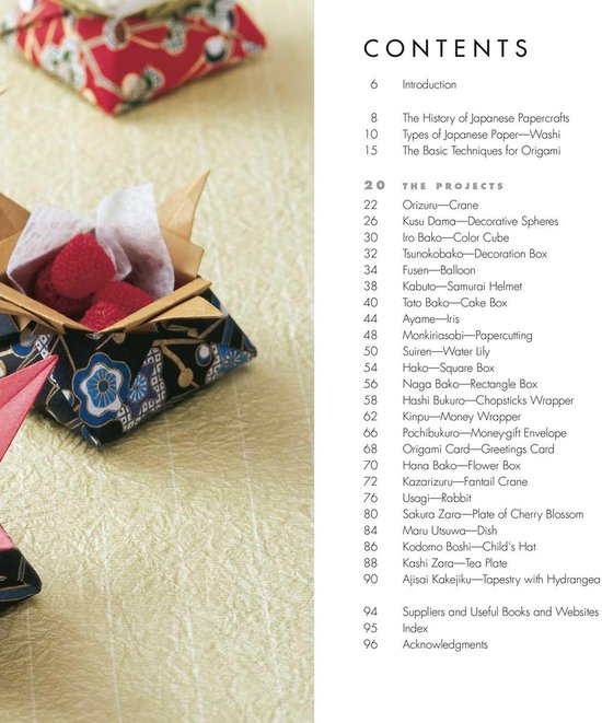 Stap Projecten Origami Kunst: 24 Stap-voor-Stap Projecten met 50 Vellen Papier | bol