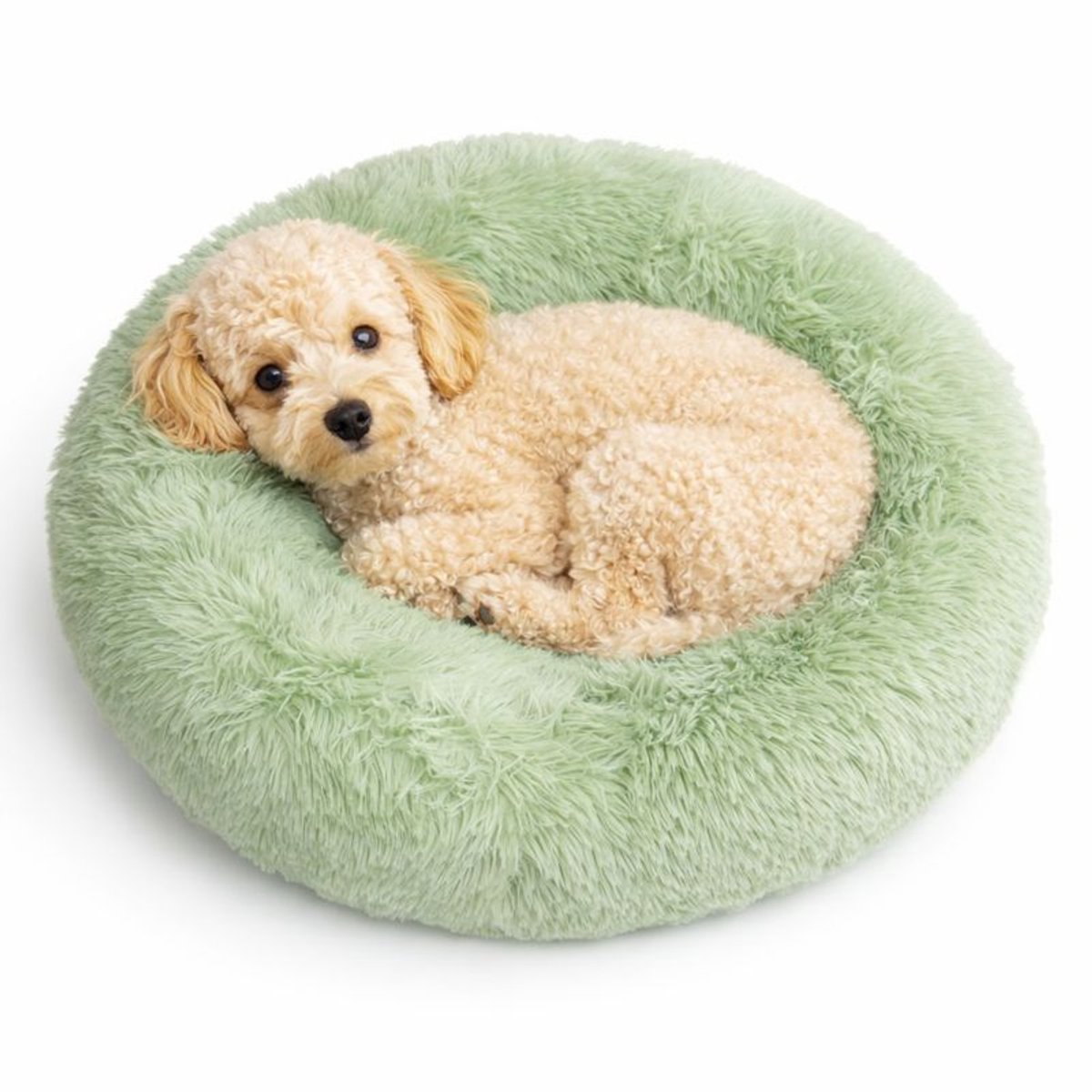 Dailyibed hondenmand - donut - hondenkussen - hondenbed - XL - 70x70x16 cm - Mintgroen