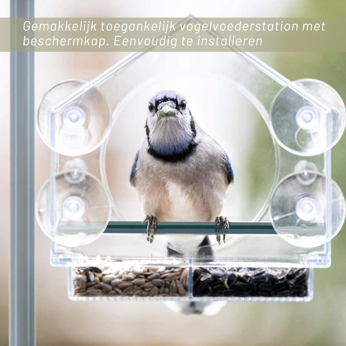 Aura® Raamvoederhuisje - Raamvoederhuisje Voor Vogels – Raamvoederbakje Met Zuignappen – Vogelvoederhuisje – Vogelhuisje Transparant – Vogelhuisjes - Transparant - 5cm x 5cm x 5cm