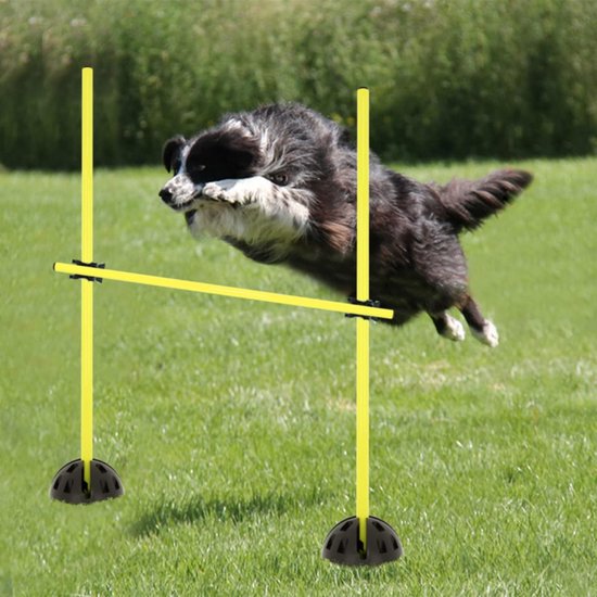 Een hond springt over een gele trainingspaal met een zwarte basis op een grasveld.