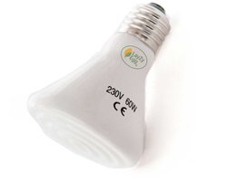 LayZyEgg® Infrarood Warmtelamp 60 Watt – 20.000 Branduren – Warmtebron – Geschikt voor Terrarium & Opfok – Voor Kuikens, Reptielen, Pups & Kittens