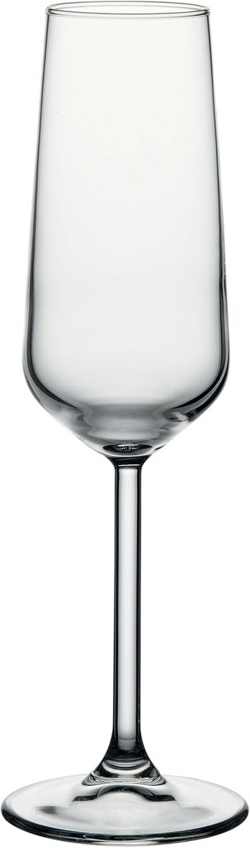 Set van 6 Champagneglazen - Elegant Dunstele Gelas - 195 ml - Ideaal voor Feest en Bar