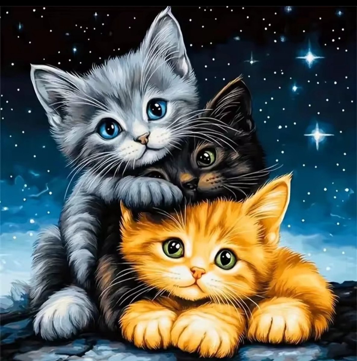 Diamond painting - Diamond painting volwassenen - Diamond painting kinderen - Diamond painting pakket volledig - Dieren - Kat - Poes 30 x 30 cm