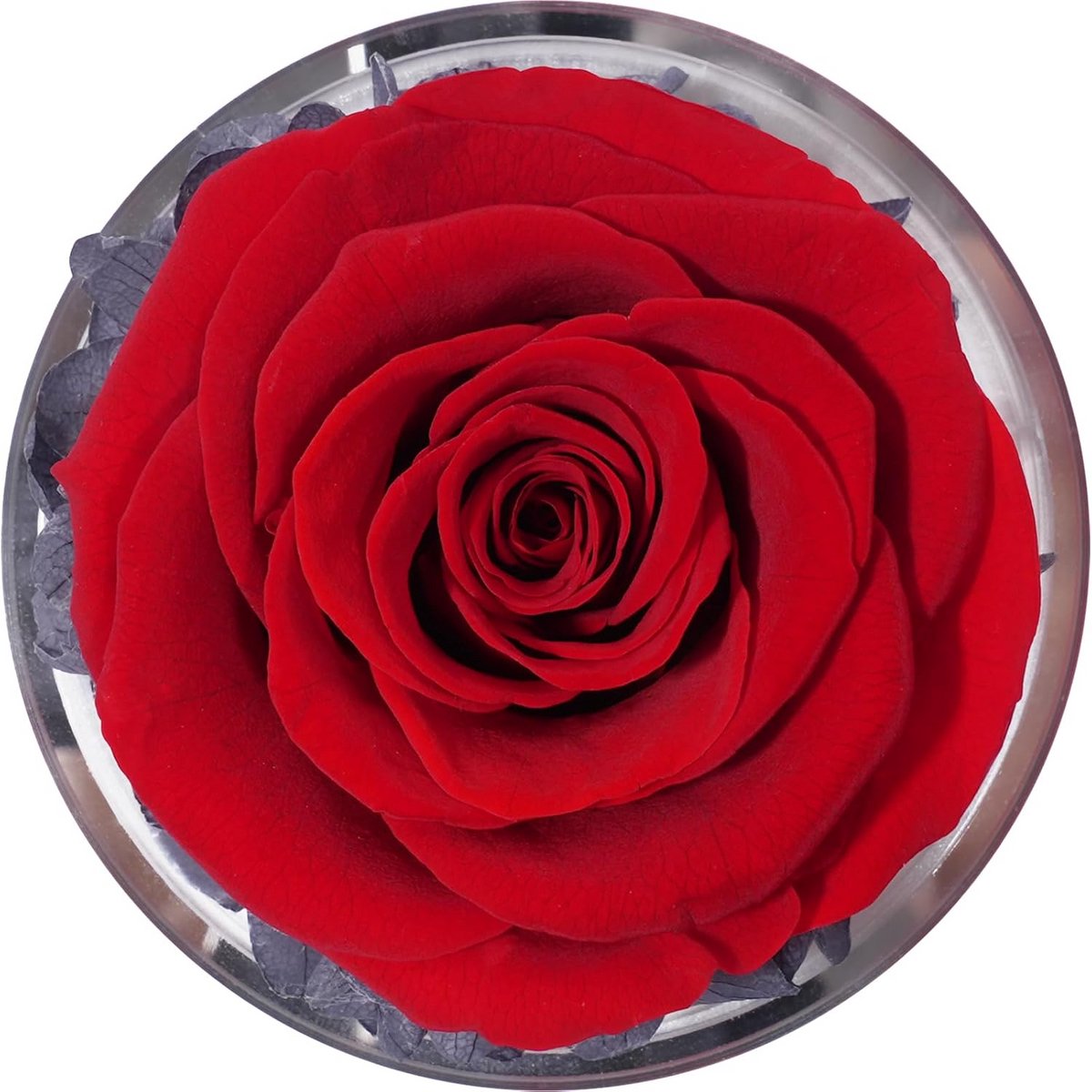 Eeuwige Roos met Engelbeeldje als Origineel Cadeau voor Vrouw of Mama