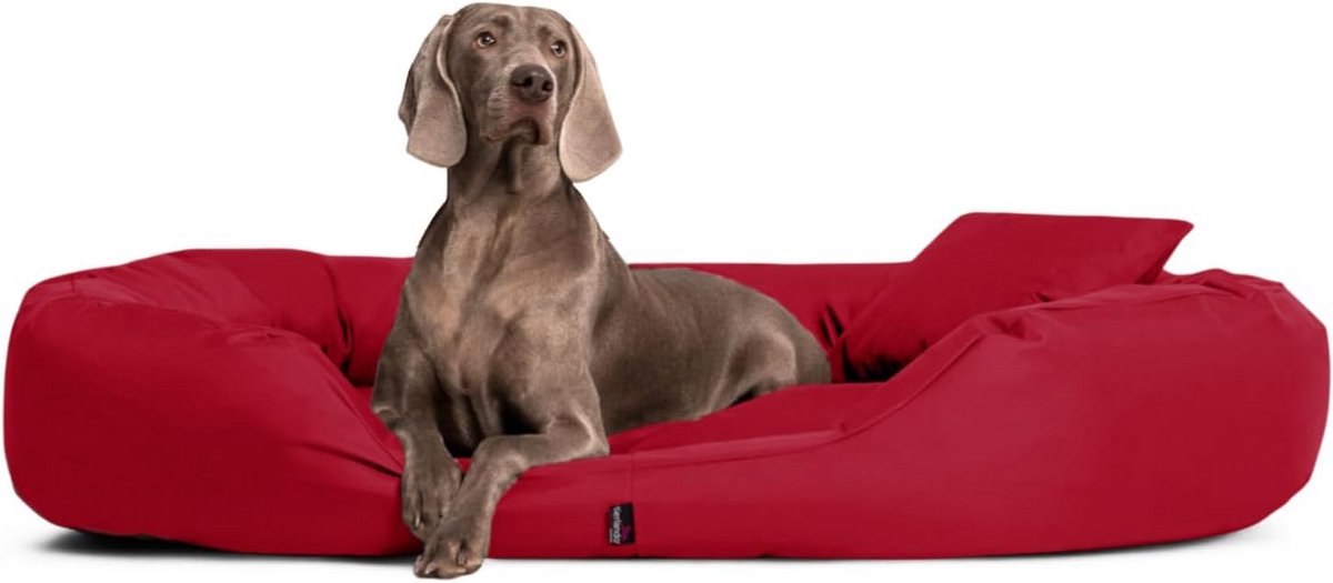 Comfortabel Hondenkussen XL XXL XXXL Rechthoekig Sofa met Dikke Rand - Stevig Polyester
