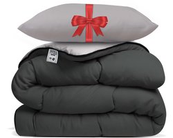 Avenue – Dekbed zonder overtrek 240x220 cm Antraciet/Taupe + Hoofdkussen 60x70 cm Taupe – Hoesloos – Anti-allergisch & wasbaar op 60°C – All Year comfort slaapbundel