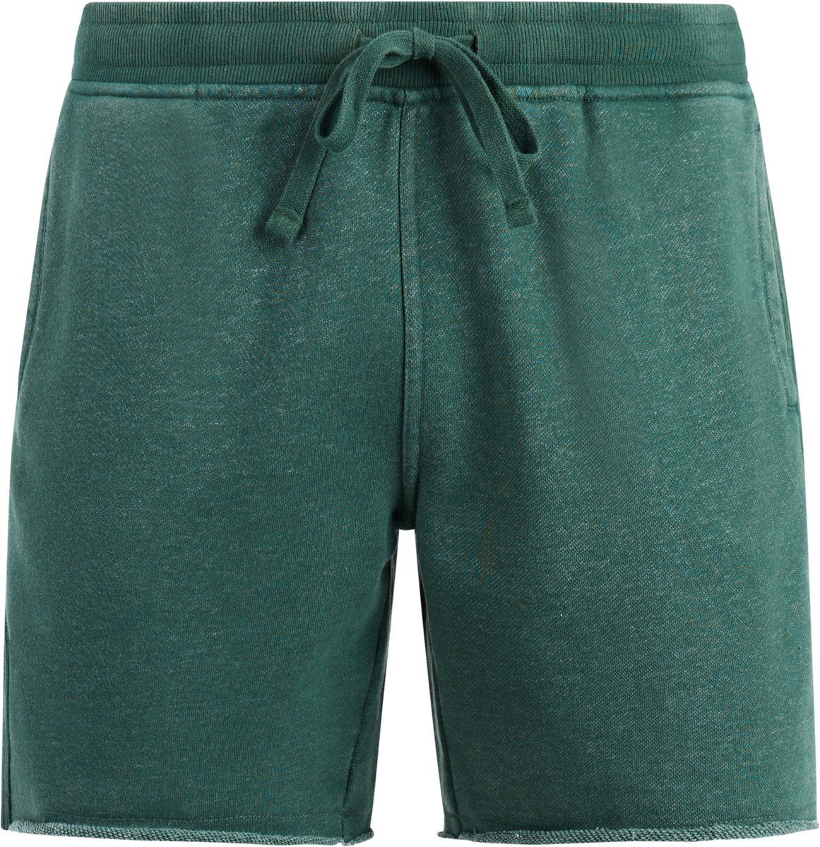 Protest PRTGalvan Korte broek Heren Tailleband elastiek Normale pasvorm Knielengte Turquoise