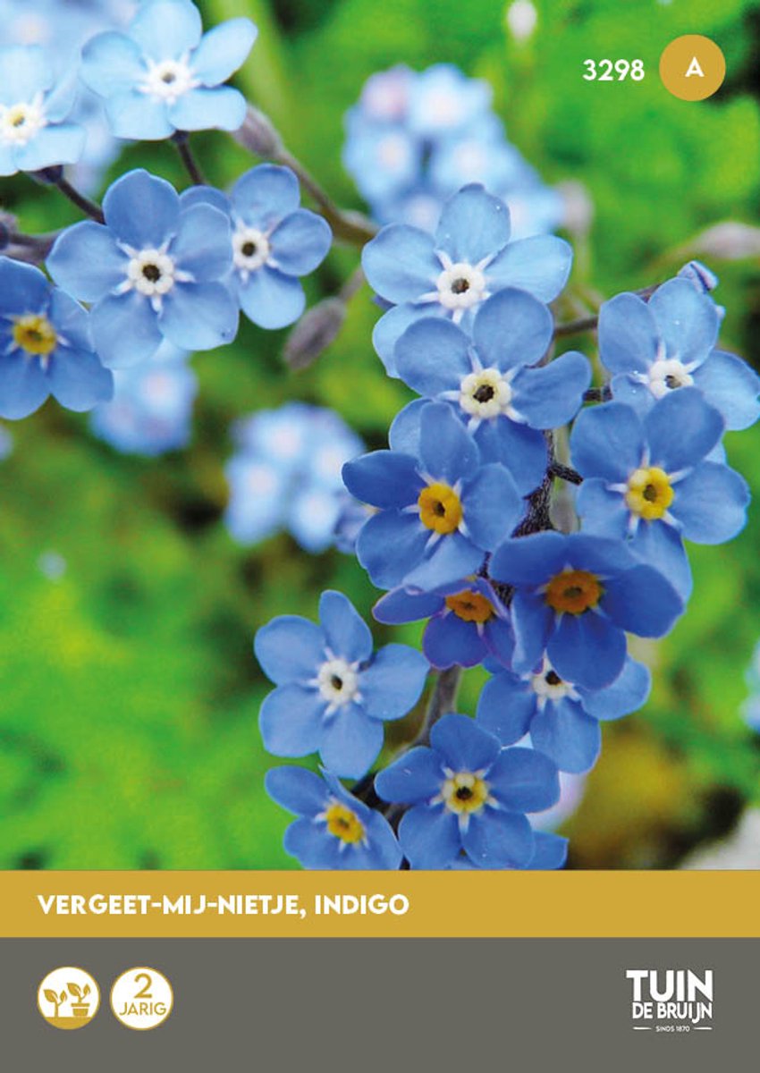 Vergeet-mij-nietje Indigo Zaden – Blauwe Bloemen – Myosotis – Bloemzaden Tuin | Tuin de Bruijn