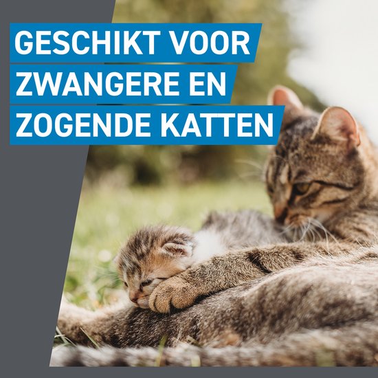 Moederkat met kitten, geschikt voor zwangere en zogende katten.