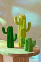 Drie decoratieve cactussen in verschillende maten en tinten groen, staand op een houten tafel.