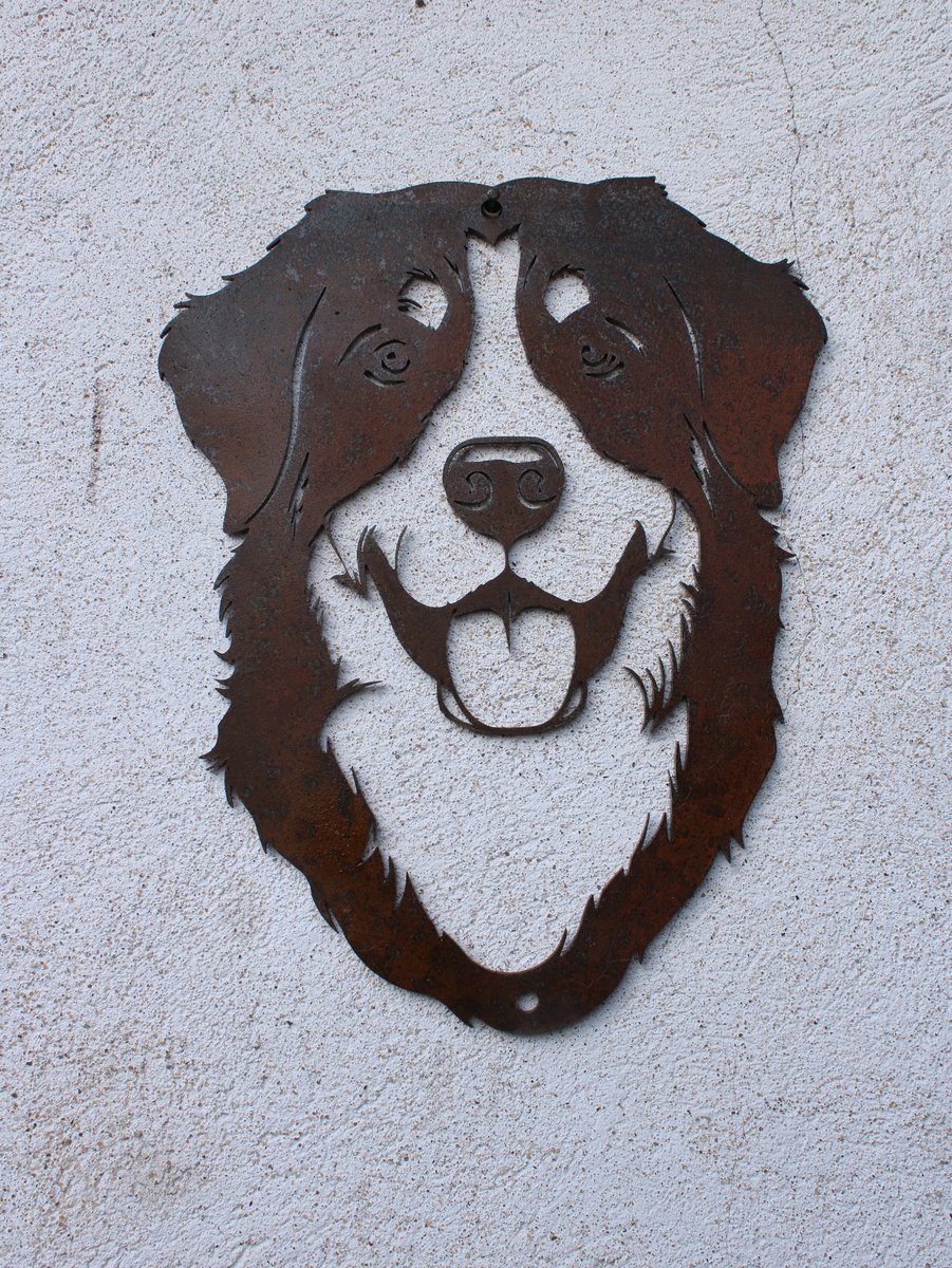 Berner Sennenhond portret in CorTen staal - hondenkop - tuindecoratie - schutting - tuinhuis - Cortensteel - roestkleurig