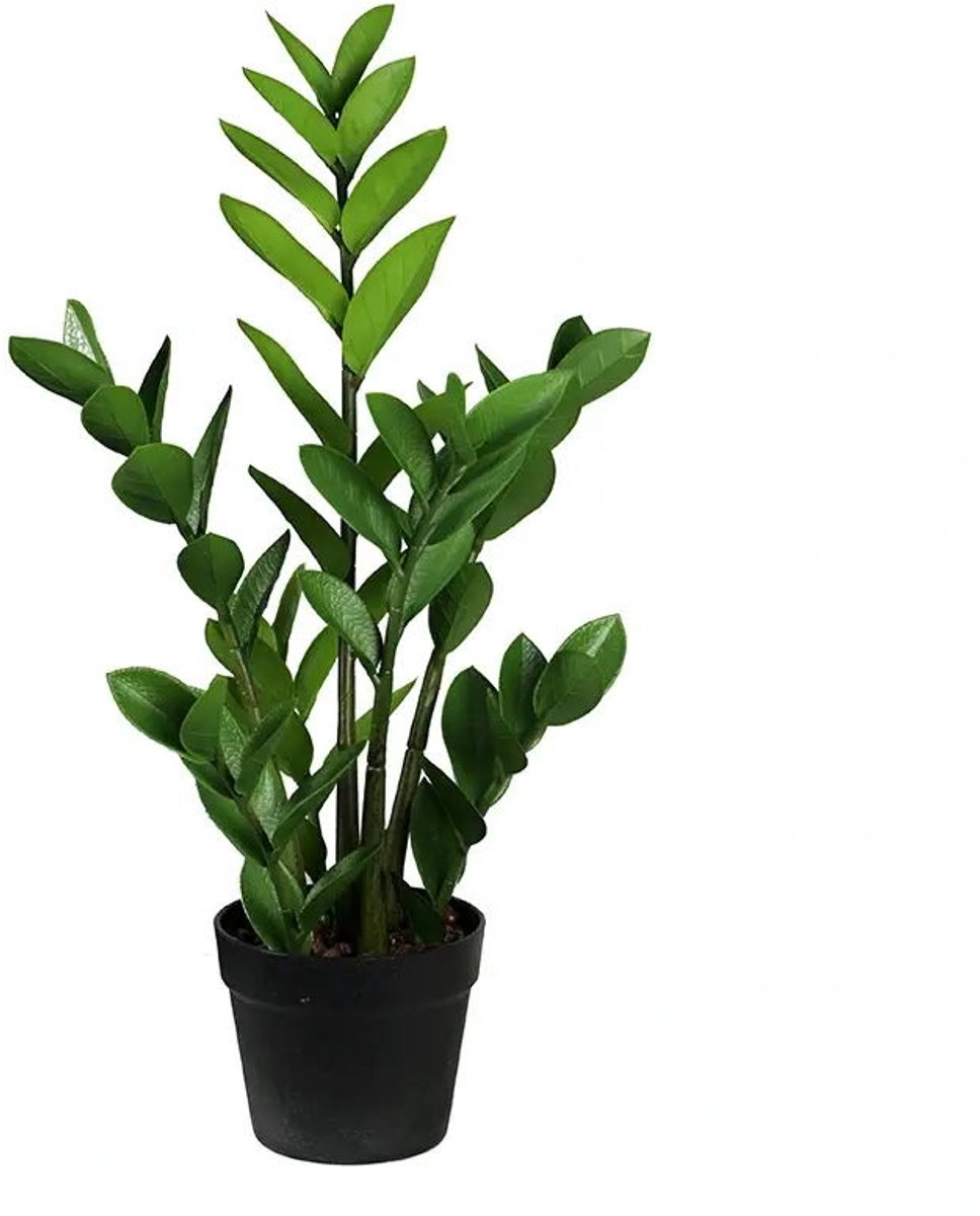 Buitengewoon de boet - Zamioculcas 75 cm kunstplant