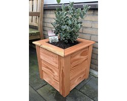 Douglasdingen.nl plantenbak 40 blank