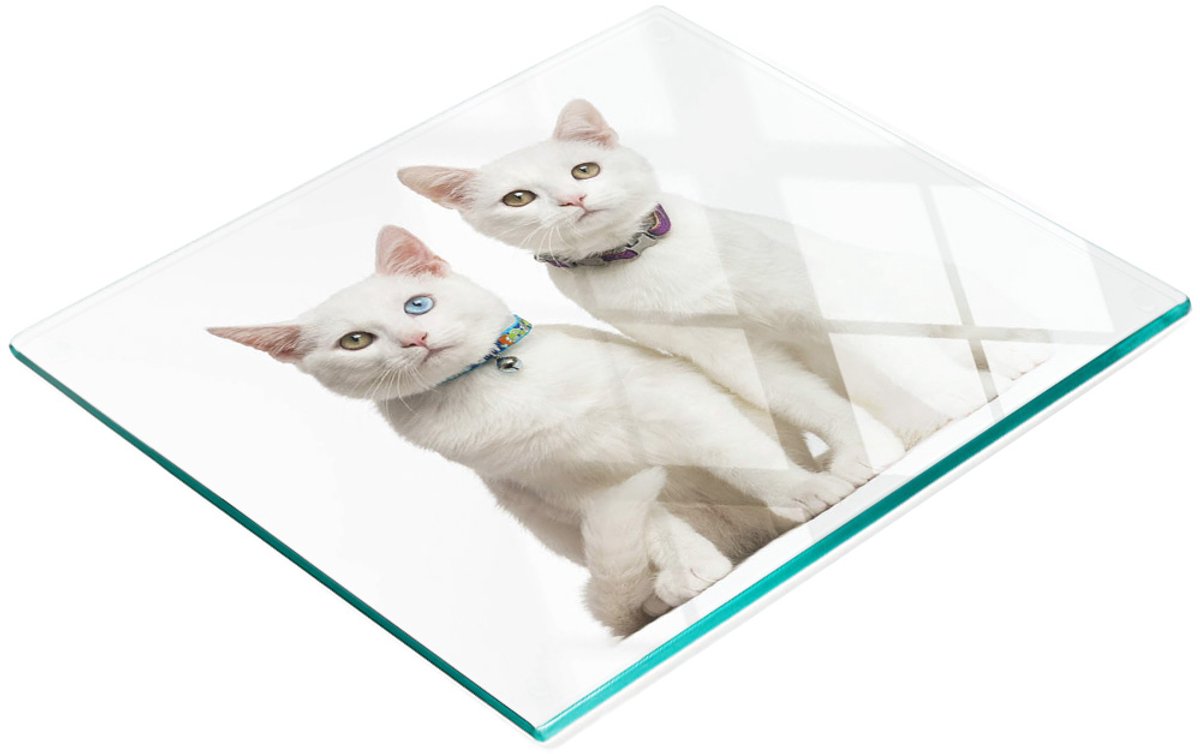 Gehard multifunctioneel decoratief bord van glas met witte katten, 60x52 cm