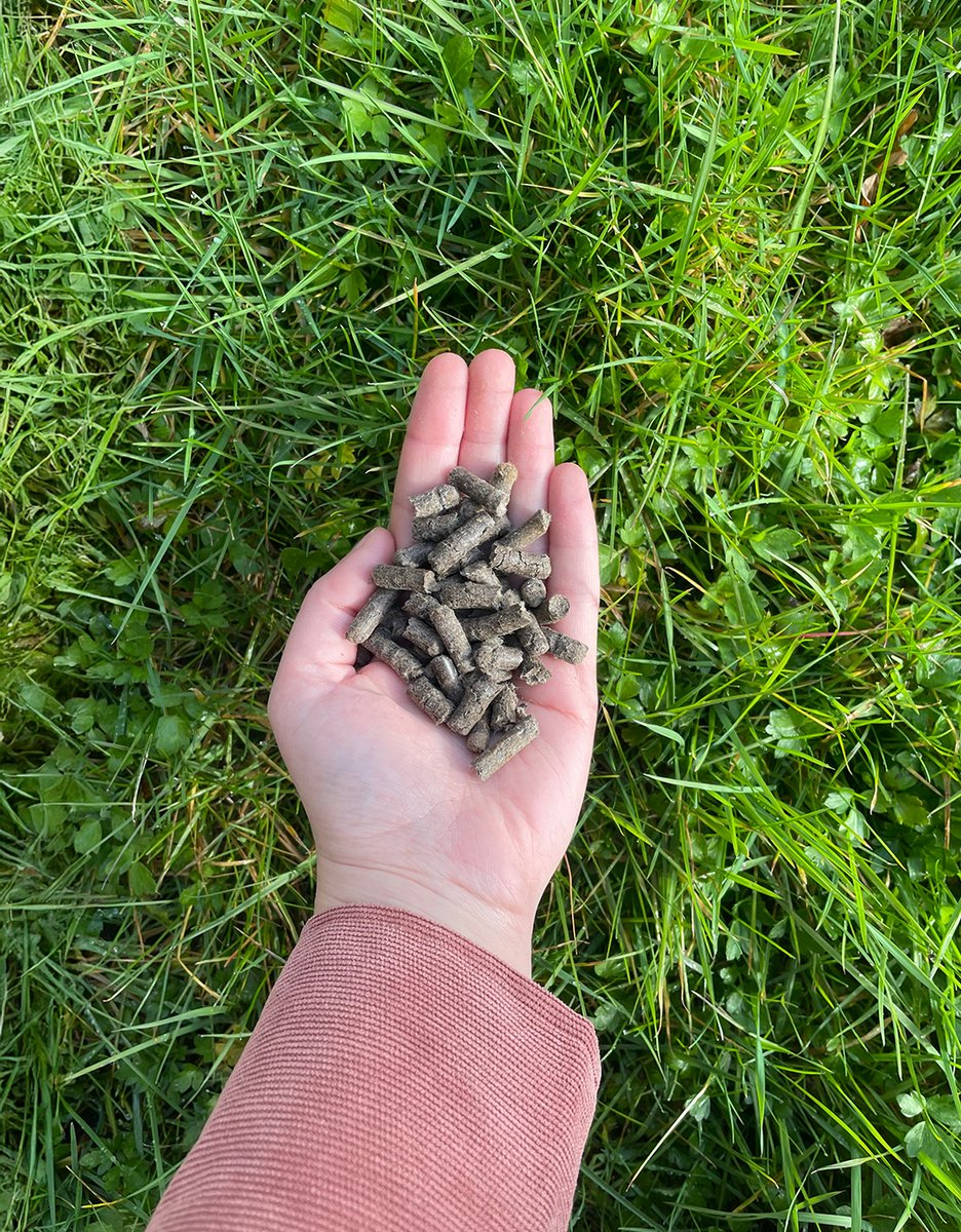 Wolkorrels – Wolpellets – 5kg - Organische meststof en bodemverbeteraar voor moestuin en potplanten – 100% natuurlijke mest van schapenwol