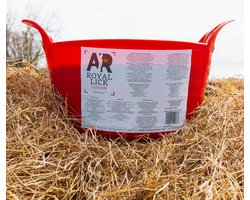 AR Royalick Senior - Liksteen - Senior liksteen paard