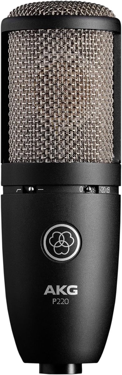 Condensator Microfoon - Groot Diafragma - Zang en Gitaar - Schakelbaar Filter - 530 gram - Zwart