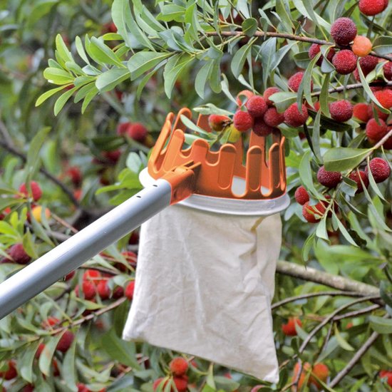 Fruitplukker - Vruchtenplukker Oogststok - Moeiteloos Fruit Plukken - Telescopische Handgreep - 115-300 cm — afbeelding 2