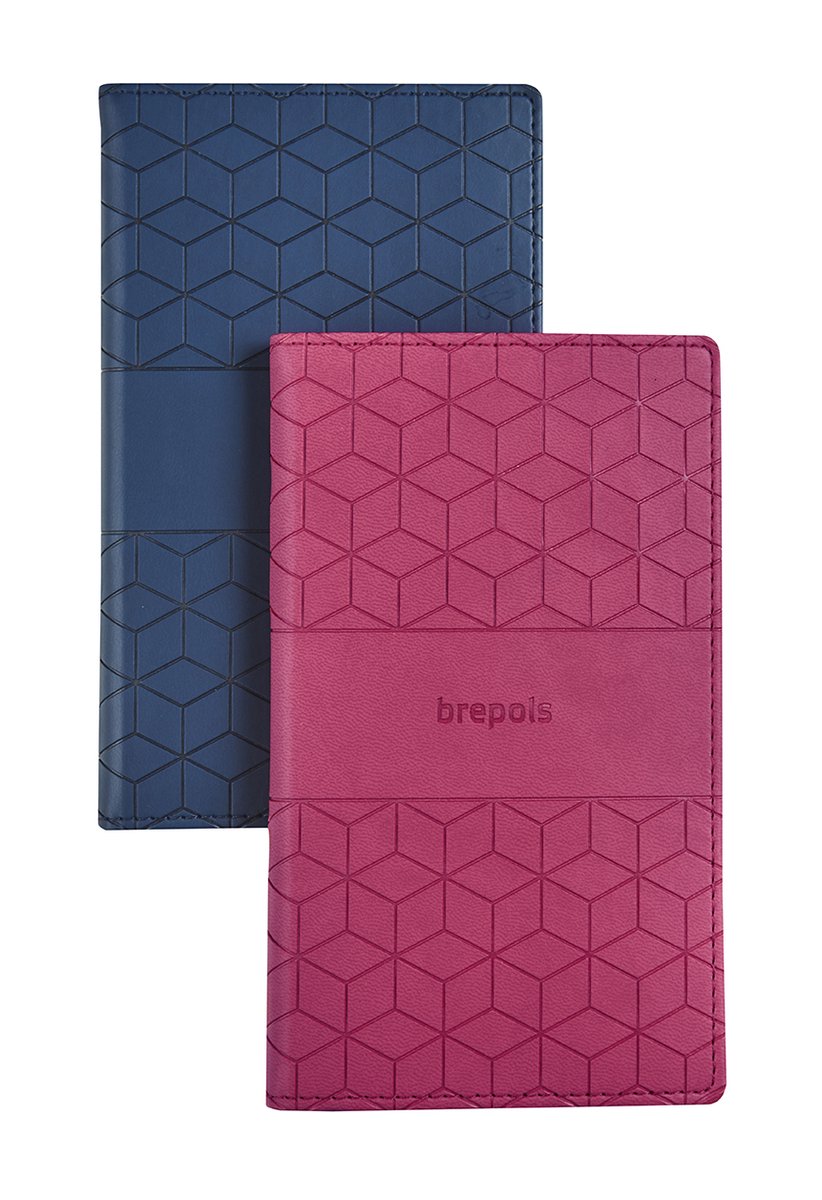 Brepols agenda 2026-2027 - Interplan CUBE - Schoolagenda - 16 maanden - 1 week op 2 pagina's - Blauw - 9 x 16 cm