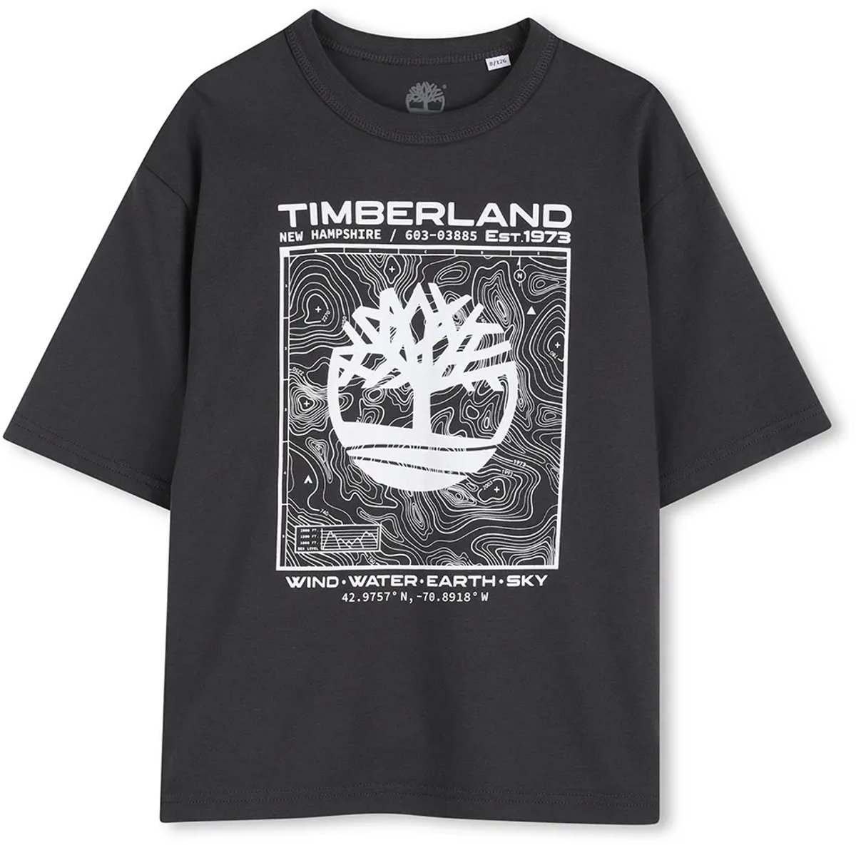 Timberland T60794 T-shirt Met Korte Mouwen 16 Years Jongen Grijs