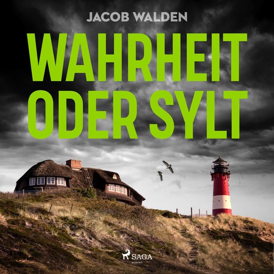 Wahrheit oder Sylt - cover