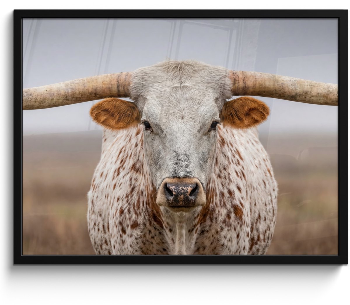 FrameYourWall Poster in lijst - Fotolijst 70x50 cm - Posters - Longhorn - Grasveld - Dier - Posterlijst zwart - Decoratie - Wanddecoratie woonkamer - Muurdecoratie slaapkamer