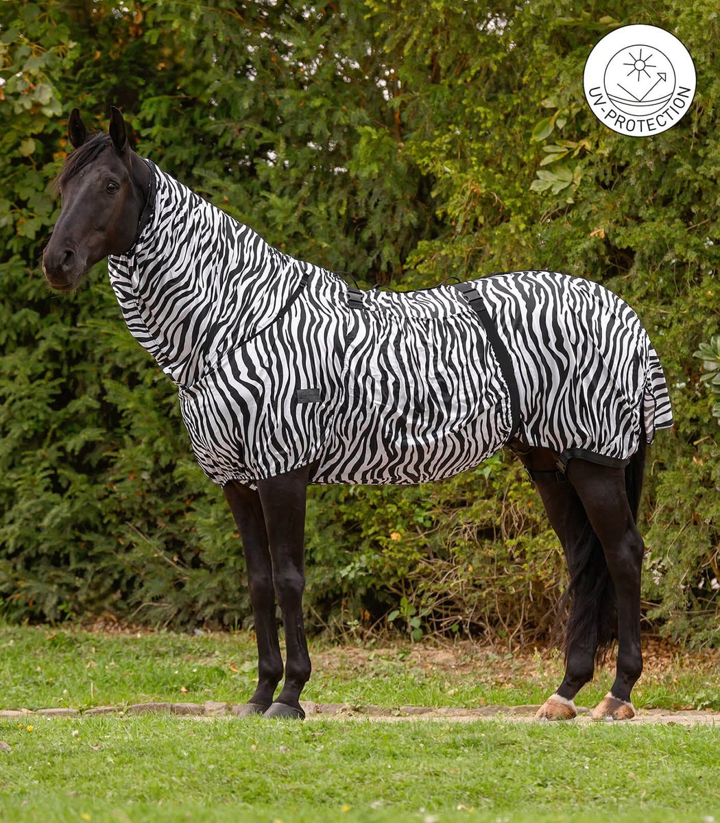 Zebra Basic Eczeemdeken - Bijna Uitverkocht!