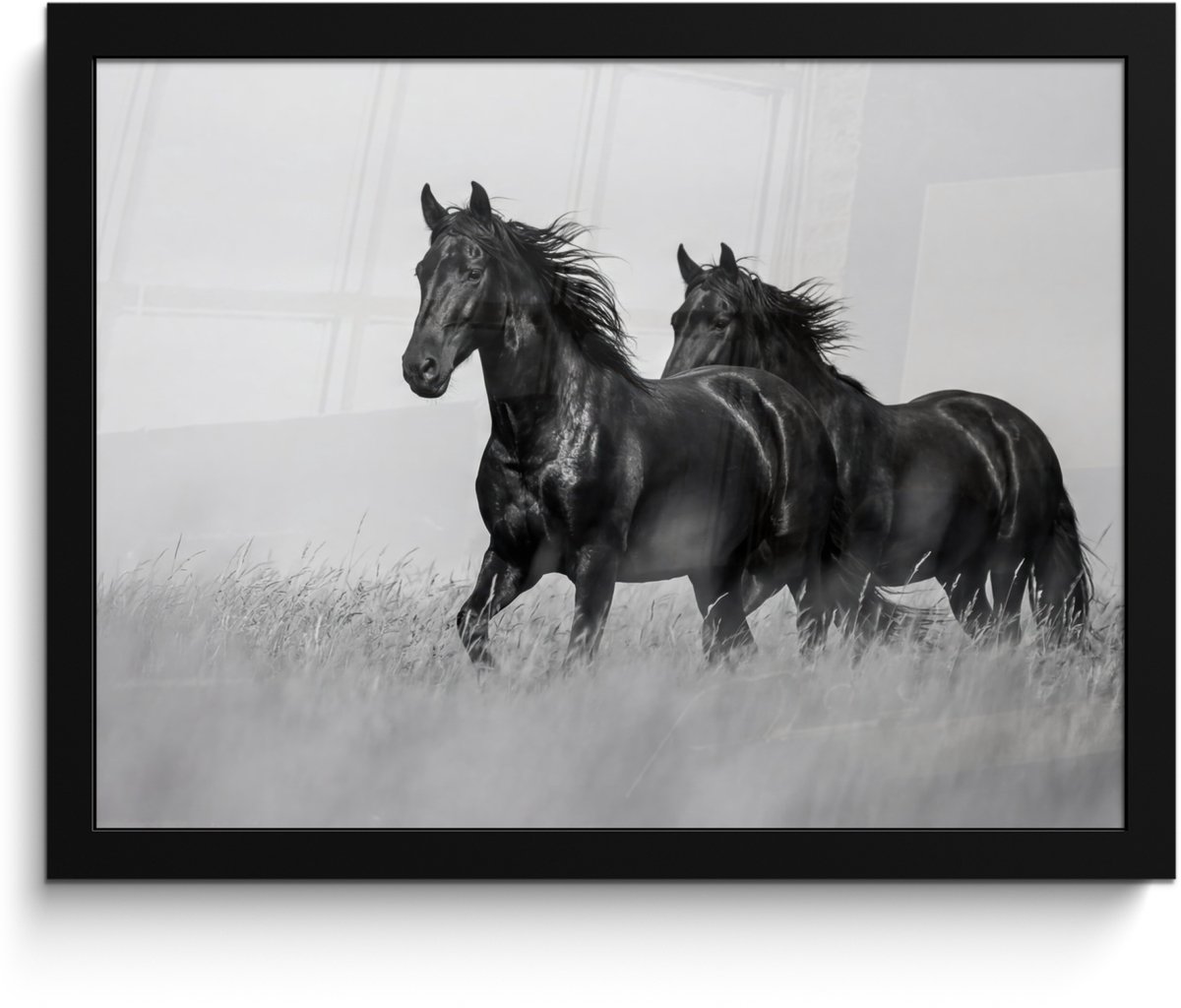 FrameYourWall Poster in lijst - Fotolijst 40x30 cm - Posters - Paarden - Gras - Zwart - Wit - Posterlijst zwart - Decoratie - Wanddecoratie woonkamer - Muurdecoratie slaapkamer